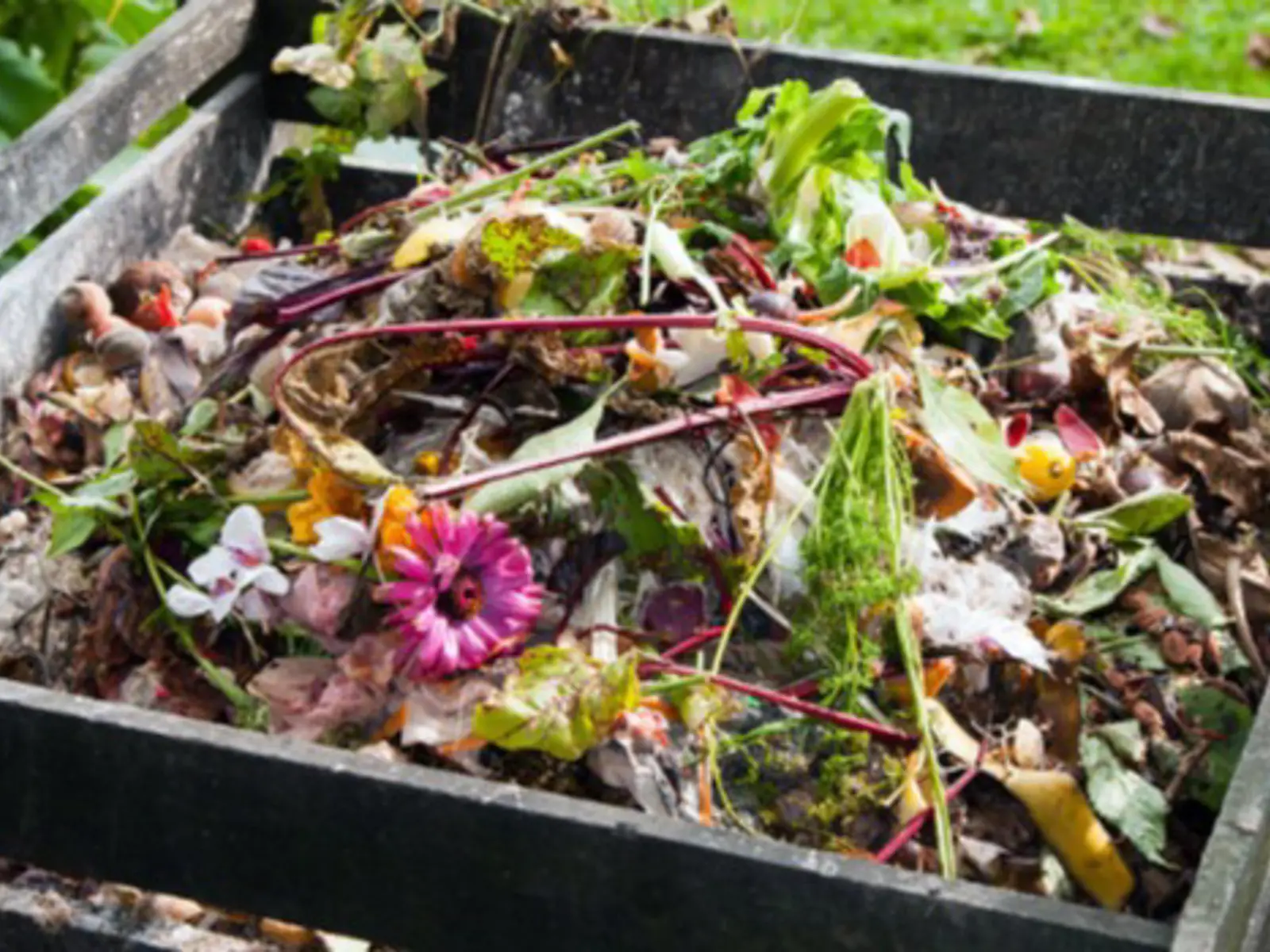 Organic Waste | City of Medicine Hat