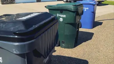 grey green and blue waste collection bins